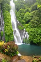 Фотообои 2 Природа, арт. 26010