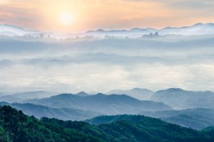 Фотообои 2 Природа, арт. 26368