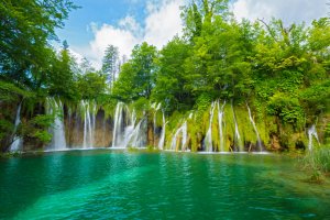 Фотообои 2 Природа, арт. 27290