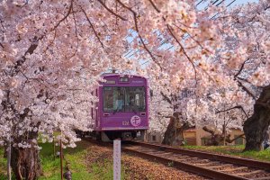 Фотообои 2 Природа, арт. 27388