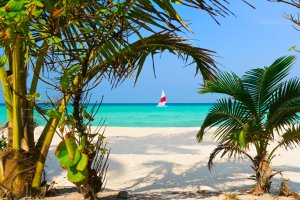 Фотообои 2 Природа, арт. 27787