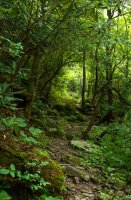 Фотообои 2 Природа, арт. 27975