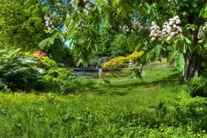 Фотообои 2 Природа, арт. 28851