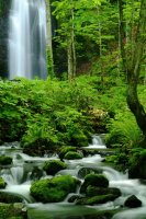 Фотообои 2 Природа, арт. 30144