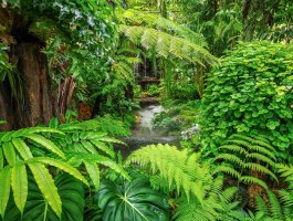 Фотообои 2 Природа, арт. 30277