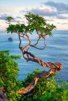 Фотообои 2 Природа, арт. 30585