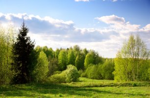 Фотообои 2 Природа, арт. 31359