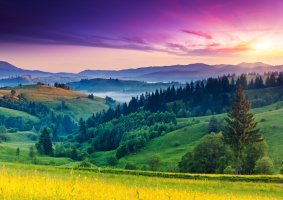 Фотообои 2 Природа, арт. 9792