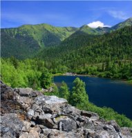 Фотообои 2 Природа, арт. 9993