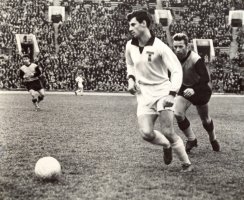 Фотообои 2 Спорт, арт. 31336