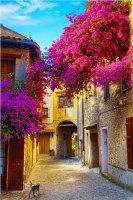 Фотообои 2 Старинные улочки, арт. 12692