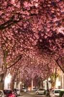 Фотообои 2 Старинные улочки, арт. 25970