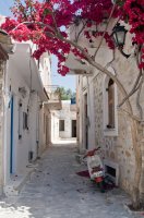 Фотообои 2 Старинные улочки, арт. 3606