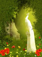 Фотообои 1 Стены и Окна, арт. 95364439