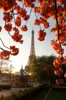 Фотообои 1 Страны, арт. 75991264