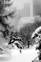 Фотообои 1 Страны, арт. 98874899