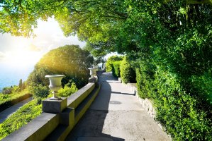 Фотообои 1 Террасы, арт. 245707099