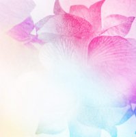 Фотообои 2 Абстракция, арт. 31332