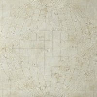 Обои Caselio, колл. Passport арт. 66551010