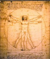 Фотообои 2 Винтаж, арт. 2461