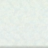 Обои Emiliana parati, колл. Blumarine Home Collection 3 арт. BM26094