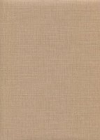 Обои Caselio, колл. Etna арт. ETN 57381459