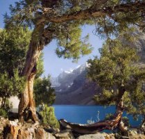 Фрески «Фрески ua», модульное панно Море арт. F-11068