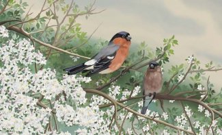 Фрески «Фрески ua», модульное панно Животные арт. F-23029