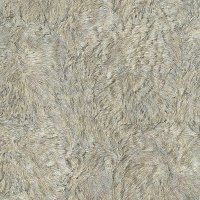 Обои Emiliana parati, колл. Roberto Cavalli Home 5 арт. RC16048