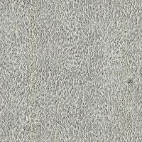 Обои Emiliana parati, колл. Roberto Cavalli Home 6 арт. RC17084