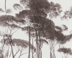 Обои AS Creation, колл. History of Art арт. 37651-1