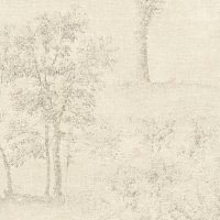 Обои AS Creation, колл. Secret Garden арт. 33603-3