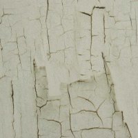 Обои BN, колл. Essentials арт. 218021