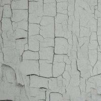 Обои BN, колл. Essentials арт. 218024