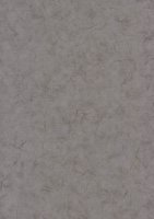 Обои BN, колл. Glassy арт. 218311