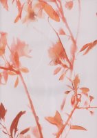 Обои BN, колл. Glassy арт. 218323