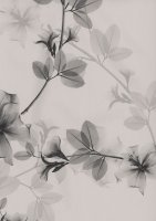 Обои BN, колл. Glassy арт. 218341