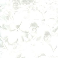 Обои BN, колл. Moods арт. 17341