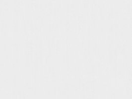 Обои BN, колл. Timeless Stories арт. 219855