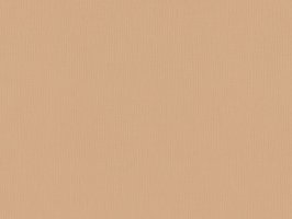 Обои BN, колл. Timeless Stories арт. 220383