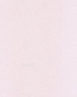 Обои Casadeco, колл. My room арт. MYR 20694112