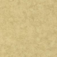 Обои Caselio, колл. Beton арт. BET101487893