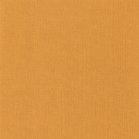 Обои Caselio, колл. Natte арт. NAE101563030