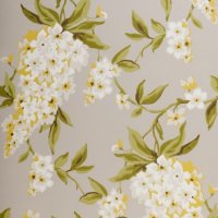 Обои Clarke & Clarke, колл. Showstoppers арт. W0022/04