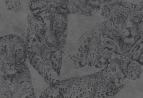 Обои Decoprint, колл. Blooming арт. BL22722