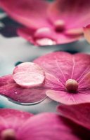 Обои Decoprint, колл. Mood арт. MD902012