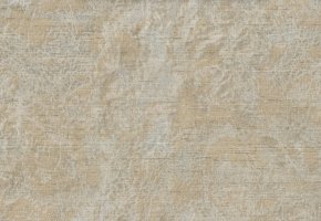 Обои Emiliana parati, колл. Roberto Cavalli арт. RC14059