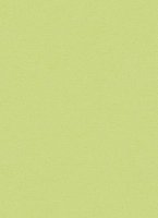 Обои Erismann, колл. Lotta арт. 7352-07