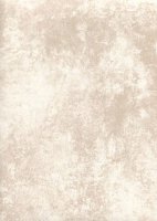 Обои Galerie, колл. Steampunk арт. G56225