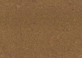 Пробковые полы Go4cork, Fascination